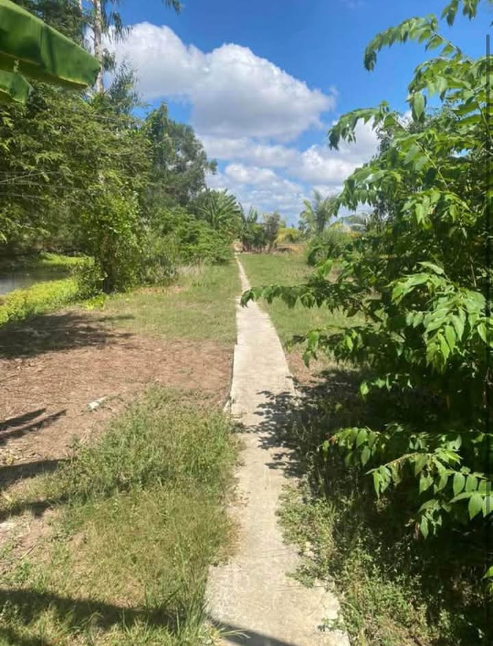 Đất ruộng 8280m² tại Lý Văn Lâm, Cà Mau - Giá chỉ 3.6 tỷ