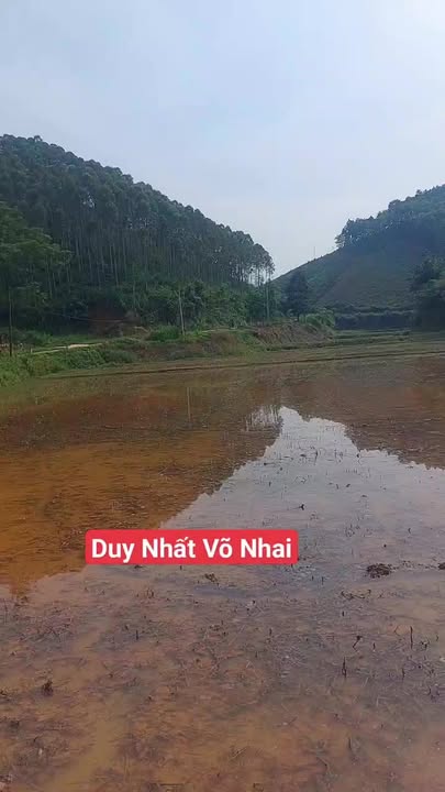 Đất Farm 12ha Cúc Đường Võ Nhai giá 6.98 tỷ - Phù hợp cho dự án lớn!