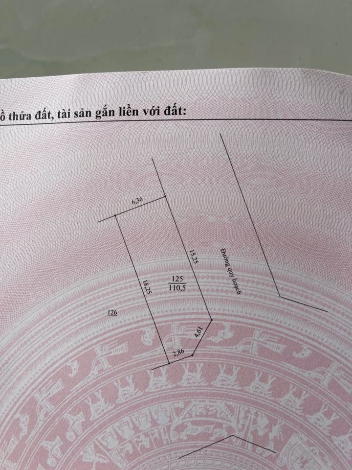 Đất nền lô góc Điềm Thụy 110m² giá 2 tỷ - Vị trí vàng kinh doanh