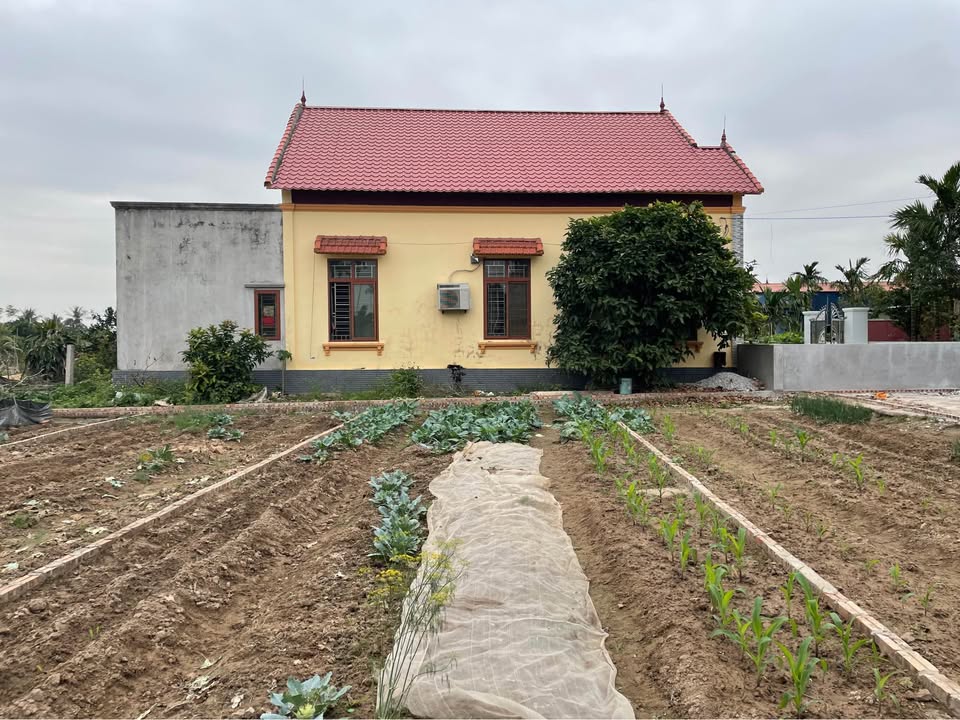 Bán đất vàng Đoàn Xá, Kiến Thụy - 74m², mặt tiền 5m - Tiềm năng sinh lời cao