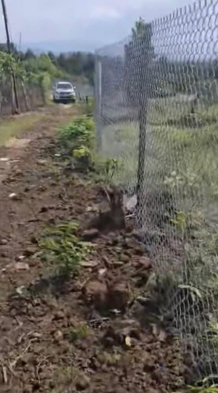 Farm 4200m² tại Phú Lộc, Tân Phú chỉ 1.8 tỷ - Đất trồng sầu riêng, mít