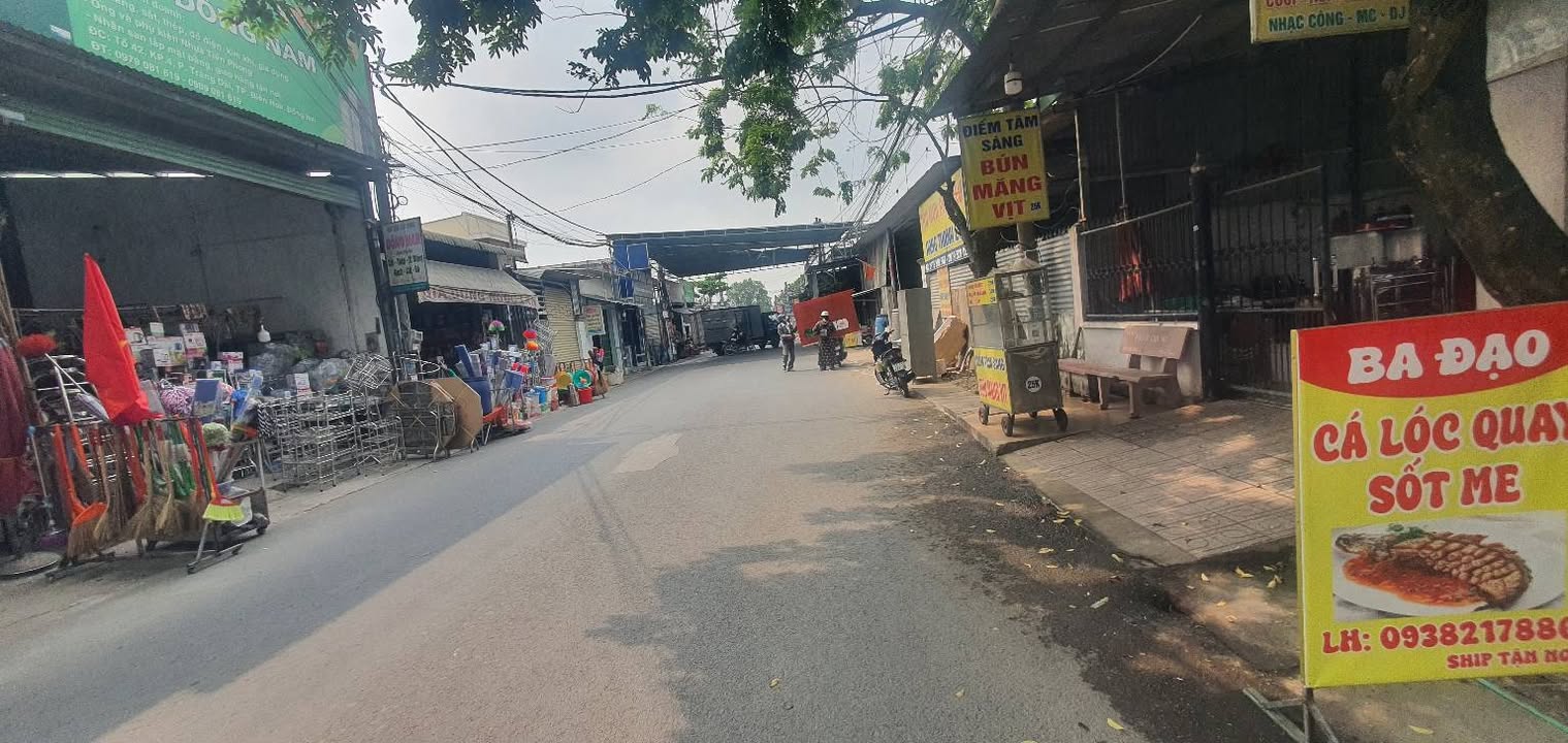 Bán đất mặt tiền Vũ Minh Tuấn, Trảng Dài 150m² - Giá chỉ 2.945 tỷ, thương lượng ngay!