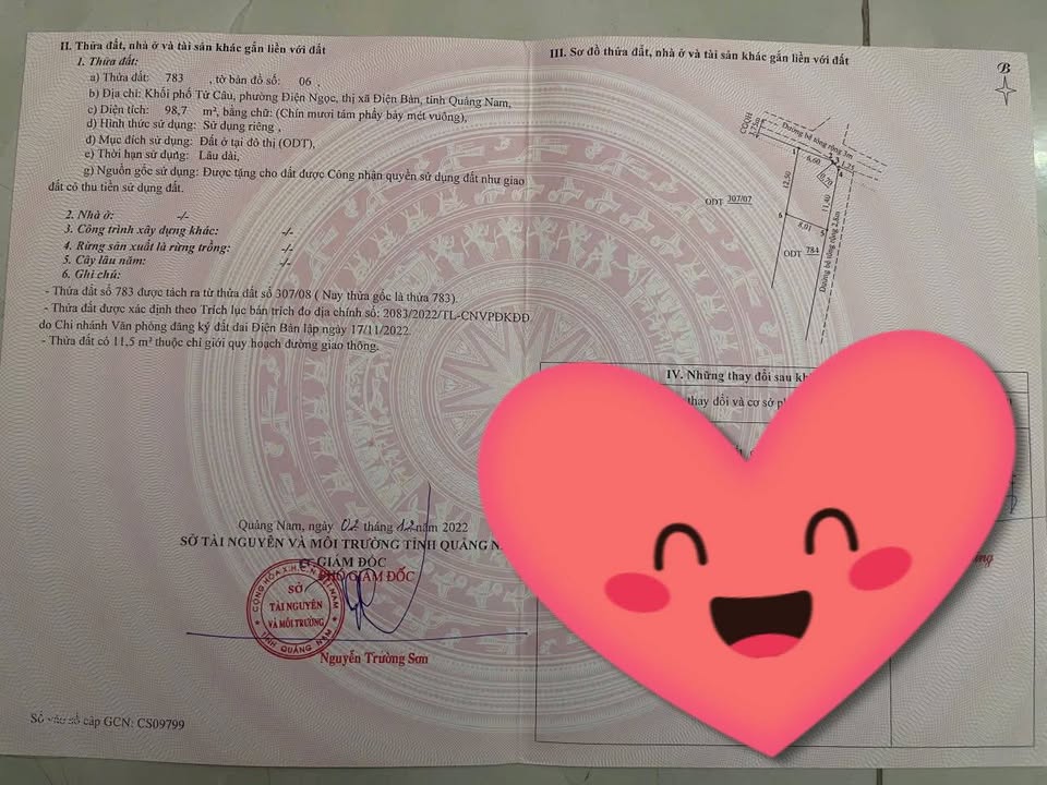 FrontHouse Phố Tứ Câu, Điện Ngọc 98m² giá 1 tỷ - Đầu tư sinh lời ngay!