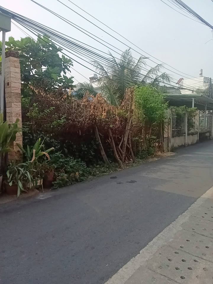 Đất nền Phường Chánh Mỹ 224m² giá thỏa thuận - Đầu tư sinh lời ngay!