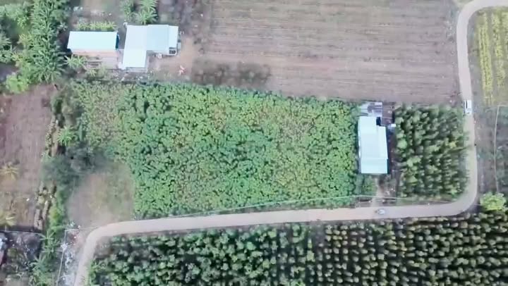 Đất nền tại xã Xuân Thọ, huyện Xuân Lộc, 238m² giá chỉ 500 triệu - Cơ hội đầu tư tuyệt vời!