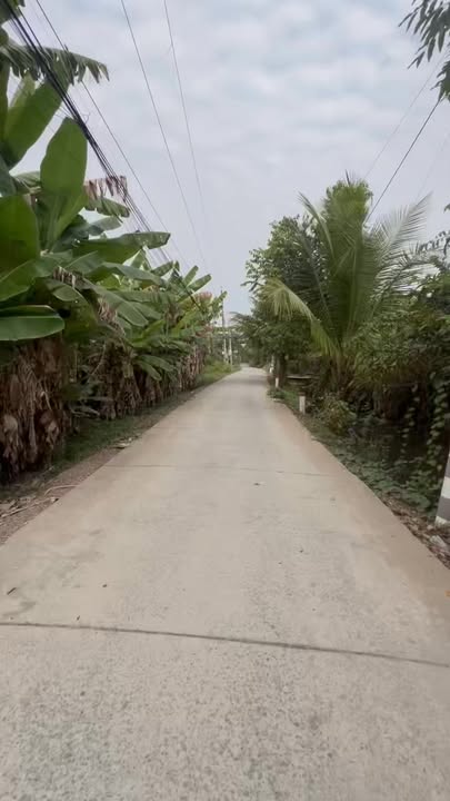 Đất nền mặt tiền đường Nguyễn Thị Kiều, Củ Chi 240m² giá 950 triệu - Cơ hội đầu tư sinh lời!