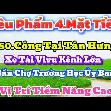 Lô đất Farm 25.000m² tại Huyện Củ Chi - Tiềm năng phát triển lớn!