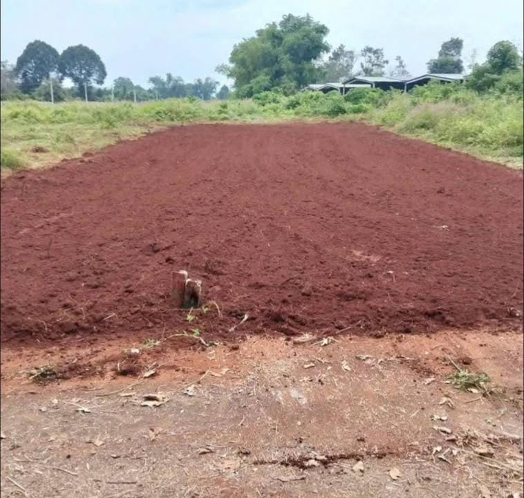 Đất nền Phường Tam Bình 200m² giá 620 triệu - Sẵn sàng công chứng ngay!