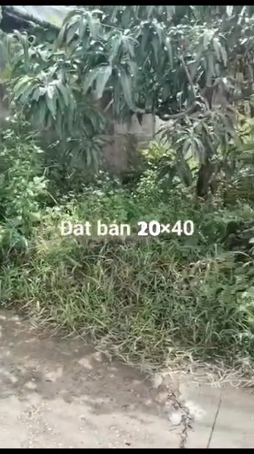 Đất nền 2 mặt tiền 800m² tại Thạnh Hải, Bến Tre - Chỉ 3.2 tỷ!