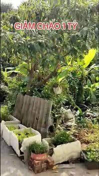 Đất Lại Xá Hoài Đức 191m² giá 17.6 tỷ - Lô góc ô tô vào tận nhà!