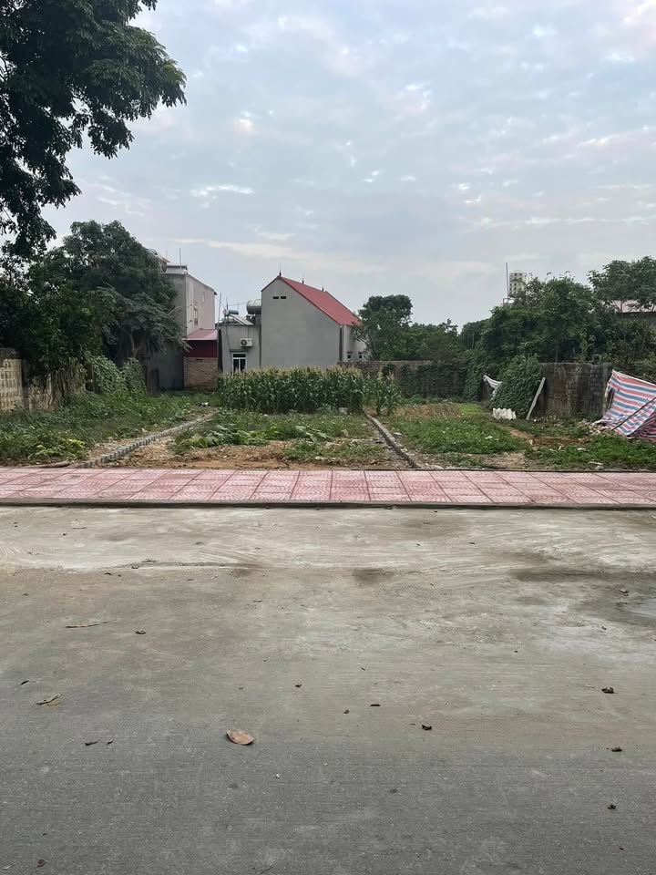 Đất nền chính chủ 200m² tại Tổ dân phố Hà, Bắc Ninh - Sổ hồng chính chủ, giá chỉ 1.8 tỷ!