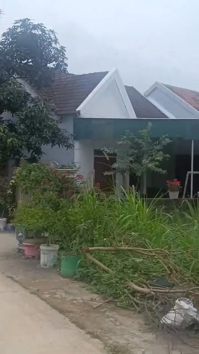 Đất nền chính chủ Thị trấn Tân Kỳ 168m² giá 800 triệu - Cơ hội đầu tư hấp dẫn!