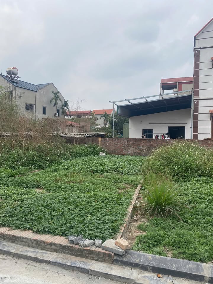 Đất thổ cư Sơn Du Đông Anh 66m² giá 4 tỷ - Đường ô tô tránh, dân trí cao!