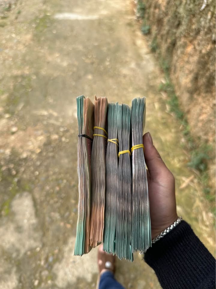 Đất nền phường Minh Xuân, Tuyên Quang 120m² - Sổ đỏ chính chủ, giá chỉ 500 triệu!