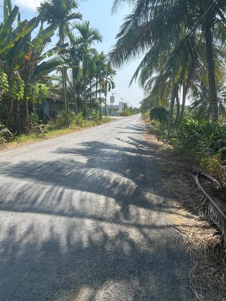 Đất nền mặt tiền đường HL 34, xã Phong Phú, 200m² giá 13 tỷ - Sổ hồng chính chủ, đầu tư sinh lời!