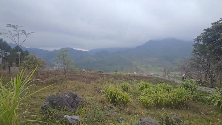 Bán Đất Mèo Vạc 536m² Mặt Tiền 20m - Tiềm Năng Kinh Doanh Du Lịch