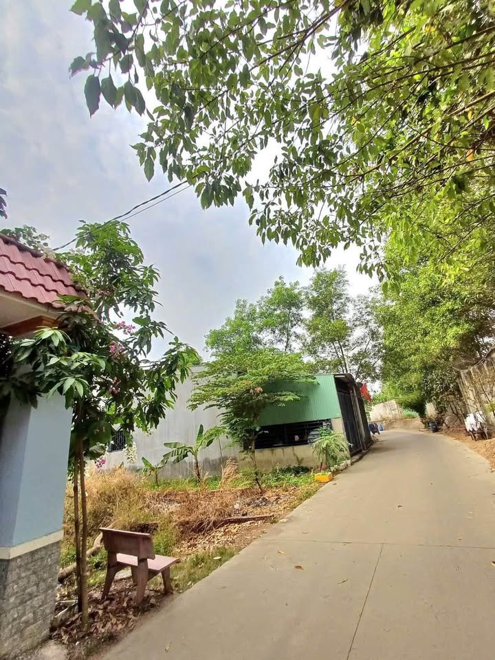 Đất nền Tân Vĩnh Hiệp 100m² giá 1.59 tỷ - Mặt tiền đường thông, đầu tư sinh lời!