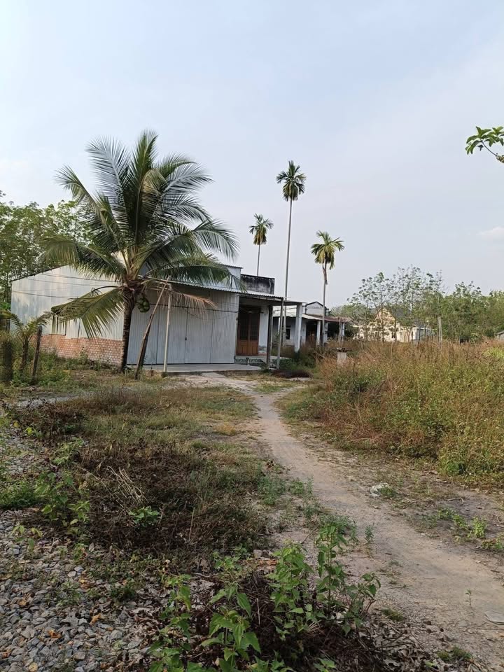 Đất thổ cư 200m² Phường An Bình giá 1.85 tỷ - Đầu tư sinh lời tuyệt vời!