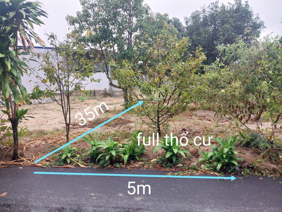 Đất thổ cư Cam Hiệp Nam 175m² giá 1.2 tỷ - Cơ hội đầu tư hấp dẫn!