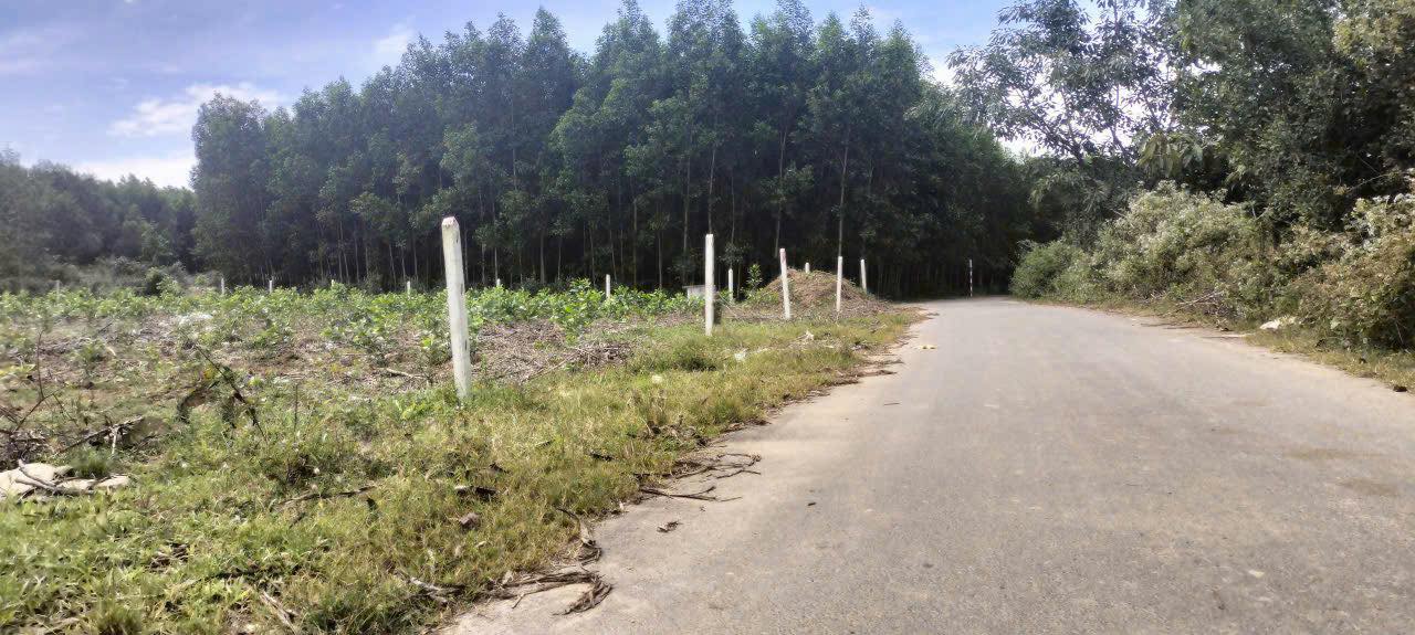 Đất nền Diên Toàn, Diên Khánh 551m² giá 350 triệu - Đầu tư sinh lời