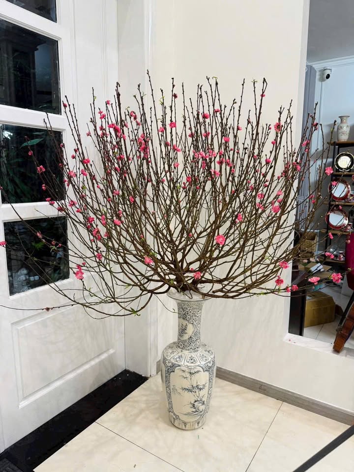 Nhà mặt tiền phường Thảo Điền 6513m² giá 31 tỷ - Đầu tư sinh lời ngay!