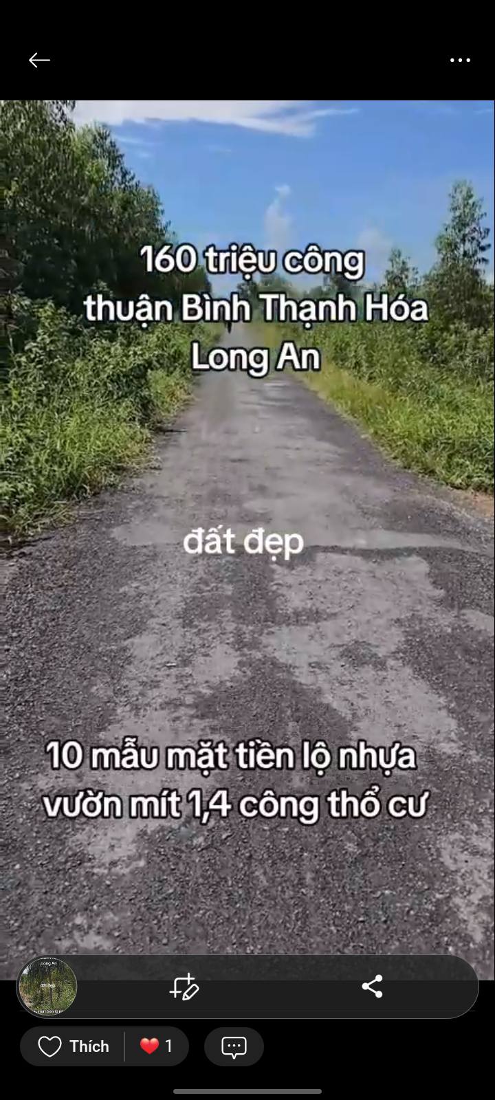 Bán Gấp 10ha Đất Vườn Trồng Mít, Măng Tại Thạnh Hóa, Long An - Sẵn Sàng Thu Hoạch