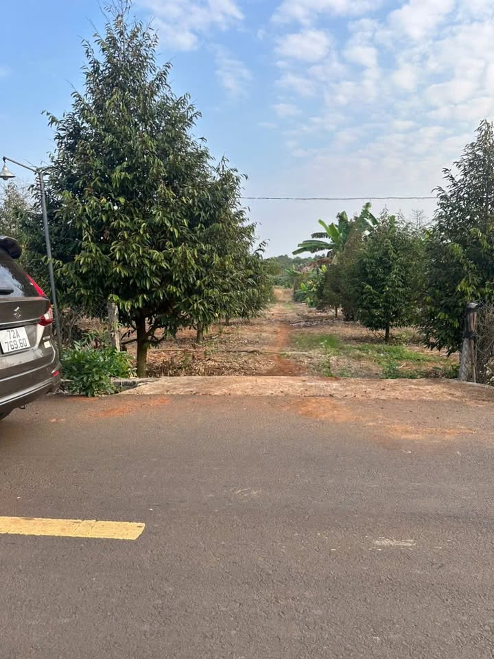 Bán Gấp Farm 8.6 Sào Bàu Lâm, Xuyên Mộc - View Suối, Sổ Hồng