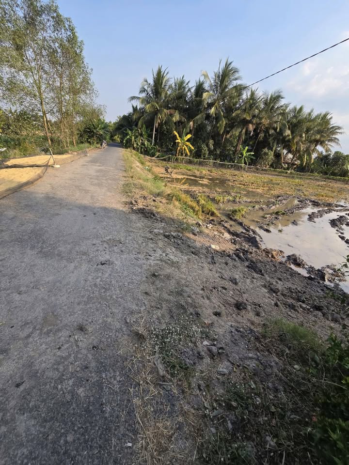 Đất vườn 16.500m² xã Mỹ Trung, Cái Bè - Đầu tư sinh lời cho tương lai!