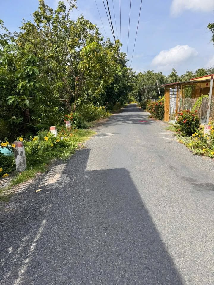 Nhà ở xã An Hữu, huyện Cái Bè, Tiền Giang 455m² giá 2.6 tỷ - Không gian sống lý tưởng!