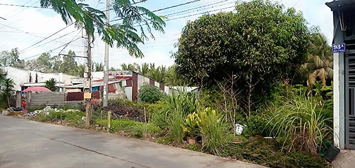 Đất mặt tiền Bùi Viện, Phường Vĩnh Lợi, 448m², giá 2.1 tỷ - Cơ hội đầu tư hấp dẫn!