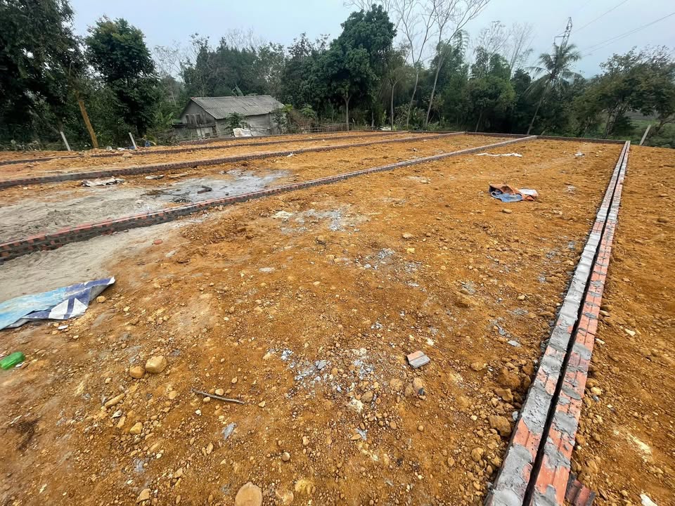 Đất nền trung tâm Thị Trấn Thanh Sơn 50m² giá chỉ từ 200 triệu - Cơ hội đầu tư sinh lời!