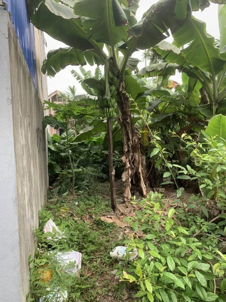 Đất nền Phường Hoàng Văn Thụ, Quận Hồng Bàng, Hải Phòng - 80m² giá 1.52 tỷ - Hướng Nam - Pháp lý rõ ràng!