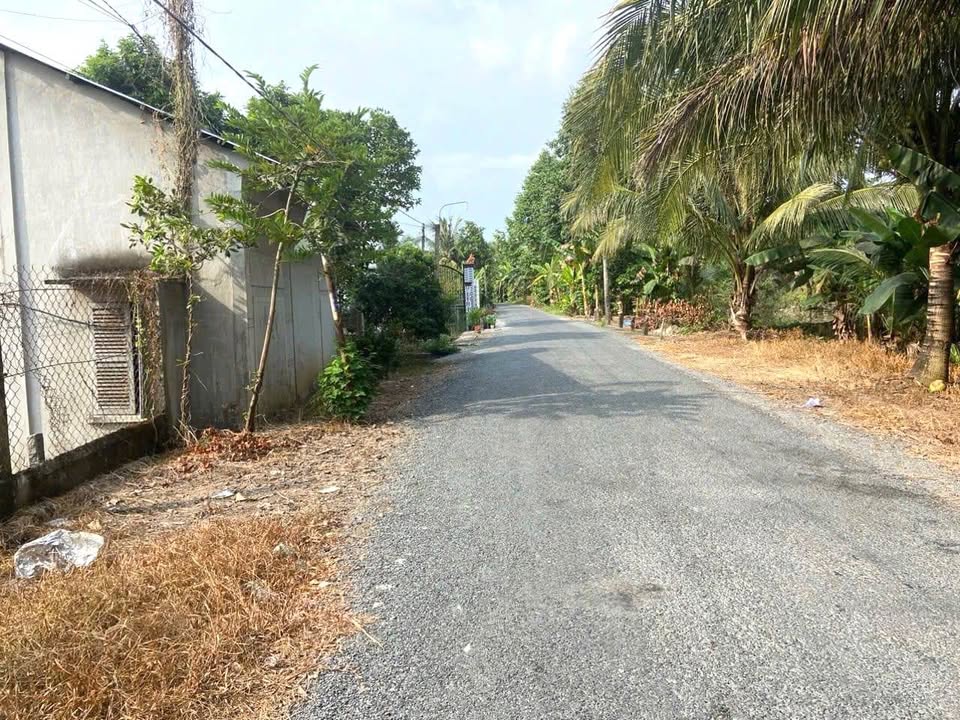 Đất nền xã Long Phước, huyện Long Hồ, Vĩnh Long 419.9m² - Mặt tiền đường nhựa rộng rãi!