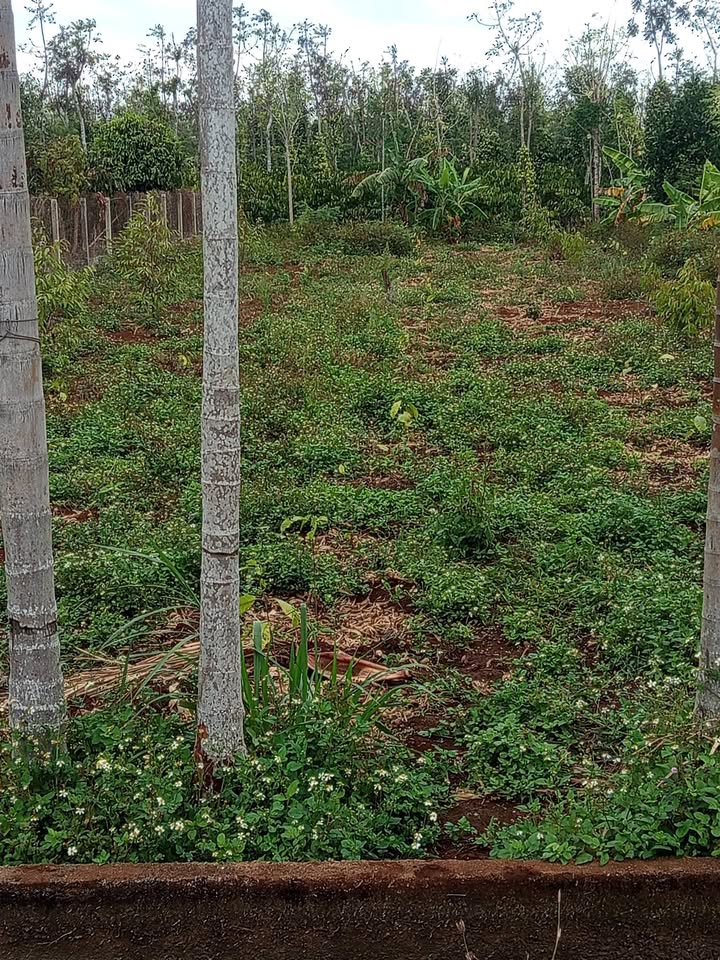 Đất nền 750m² đường Chín Buôn Pốc B - Giá 1.65 tỷ - Đầu tư sinh lời ngay!