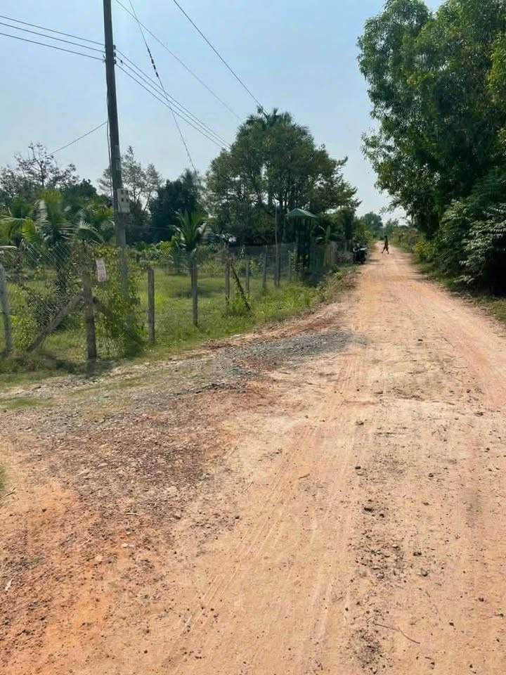 Đất nông nghiệp Bàu Bàng Bình Dương 3ha giá chỉ 8 tỷ - Cơ hội đầu tư tuyệt vời!