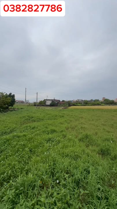 Đất thổ cư Giao Thủy 195m² giá 1 tỷ - Mặt tiền siêu rộng 20,6m!