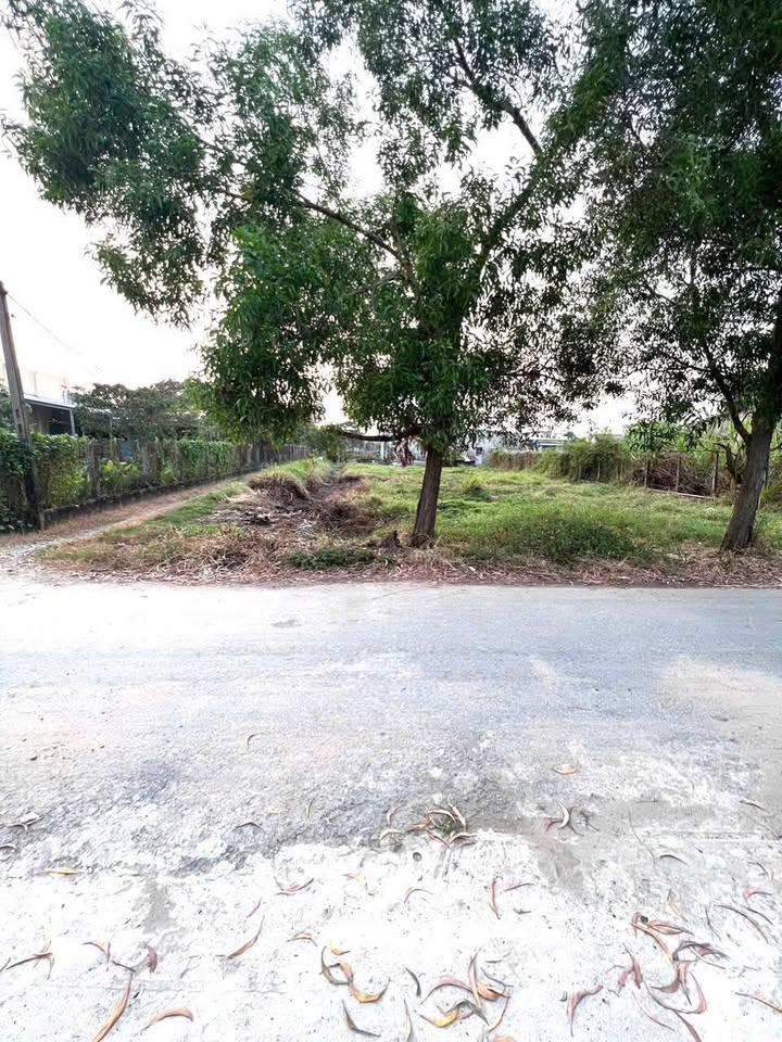 Đất thổ cư Huyện Đức Hòa 360m² giá 4.2 tỷ - Lô góc 2 mặt tiền lý tưởng cho đầu tư!