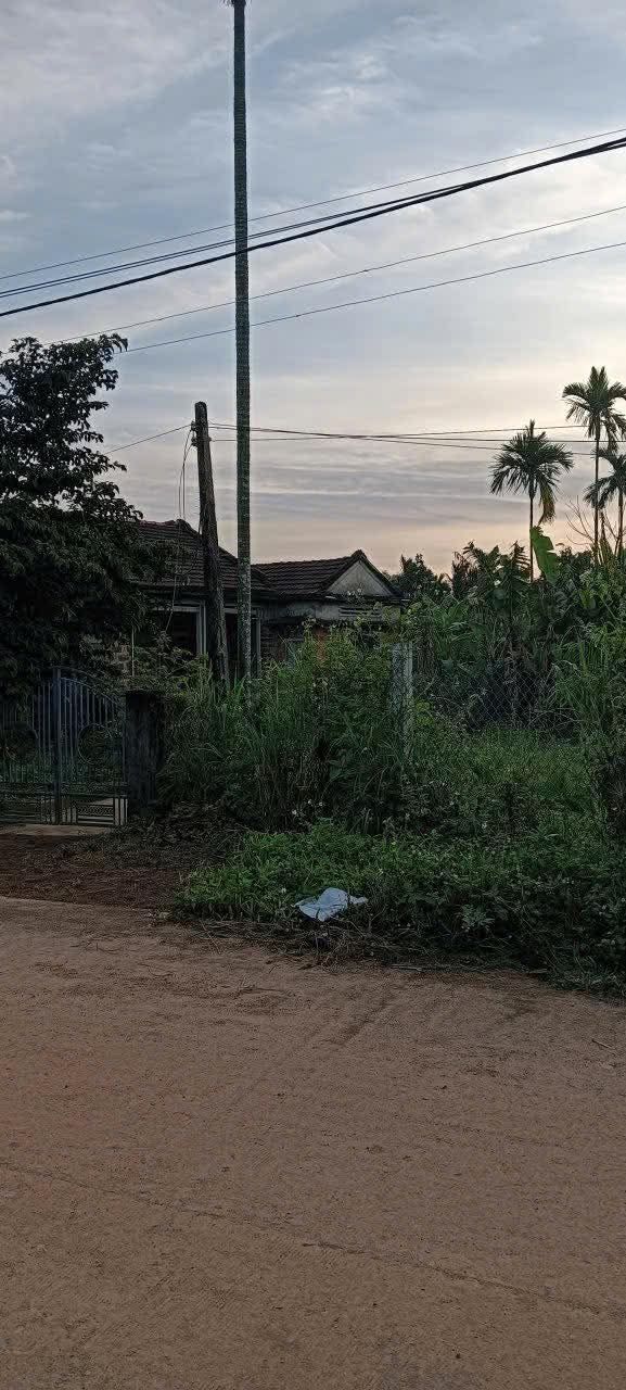 Đất nền Xã Đức Phú, Huyện Mộ Đức 100m² - Giá thỏa thuận, tiềm năng phát triển cao!