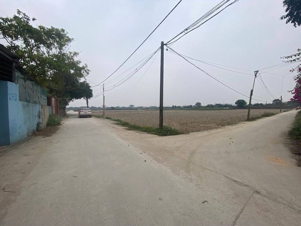 Đất Cổ Loa Đông Anh 44m² giá thỏa thuận - Sổ đỏ chính chủ