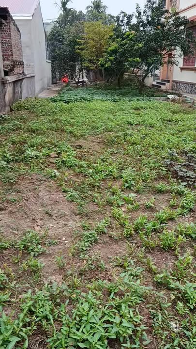 Đất nền xã Chương Dương, Huyện Thường Tín, 93.6m² - Giá thỏa thuận hấp dẫn!