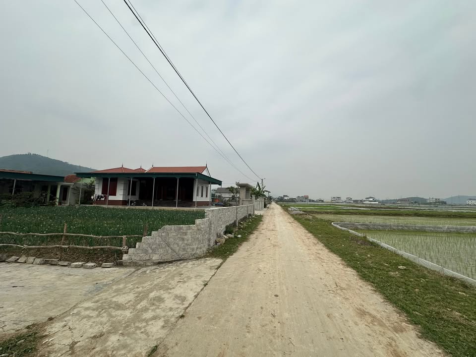 Đất nền Xóm 8, Xã Quỳnh Lâm 196m² giá 500 triệu - Cơ hội đầu tư hấp dẫn!