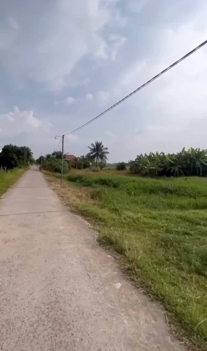 Đất thổ cư ấp 5 Nhị Thành, Thủ Thừa, Long An 186m² - Giá chỉ 8.205 triệu đồng!