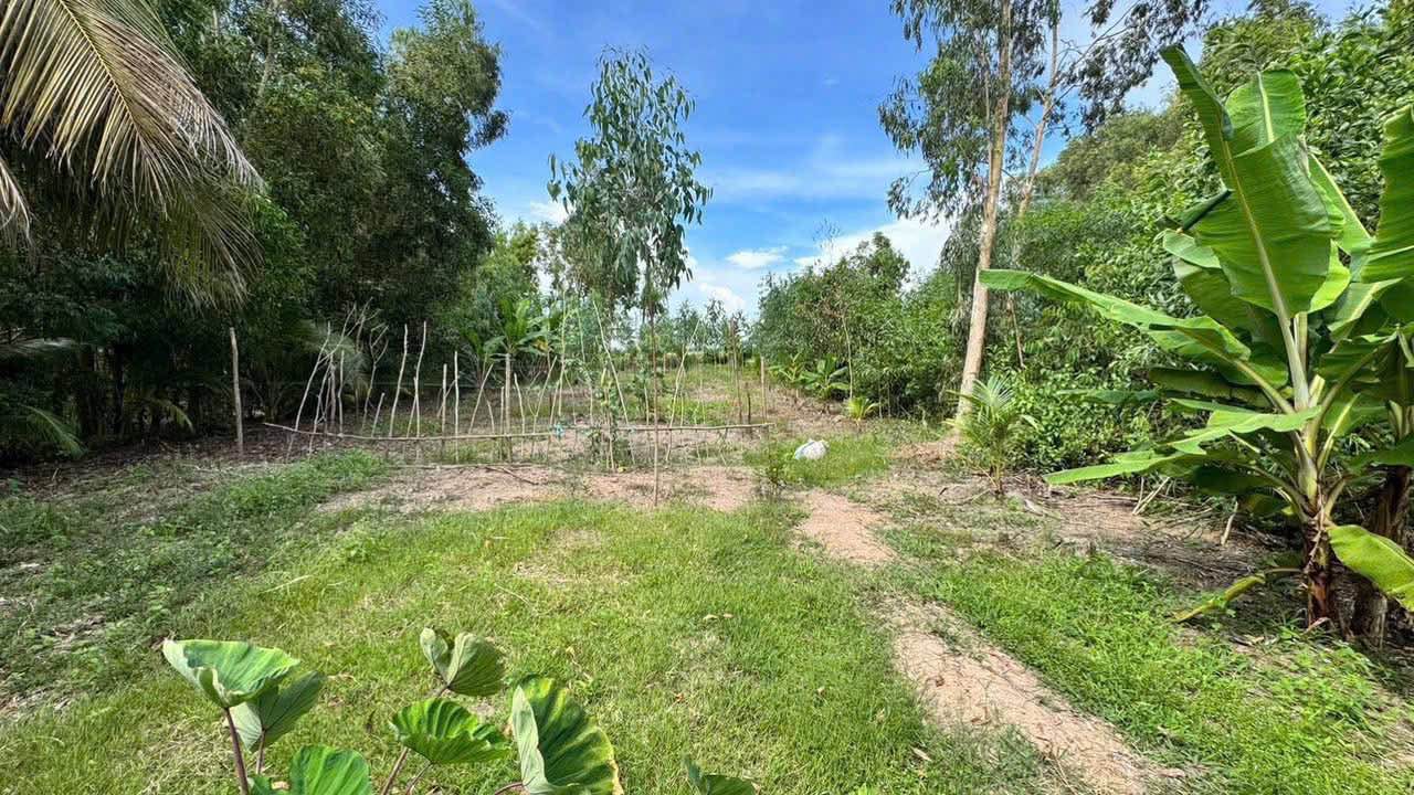 Đất thổ cư 300m² xã Hòa Điền, Kiên Giang giá 1.6 tỷ - Mặt tiền 2 đường