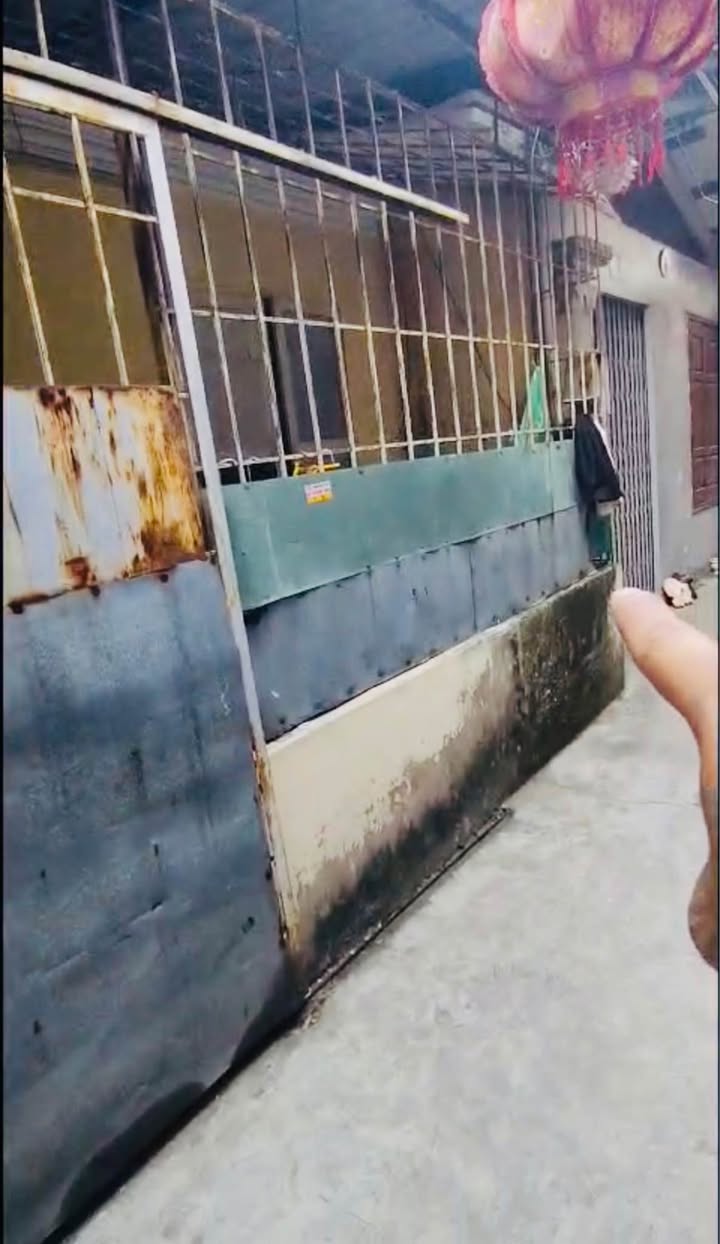 Nhà 39m² tại Lê Lai, Ngô Quyền, Hải Phòng - Giá chỉ 1.1 tỷ, chính chủ bán!