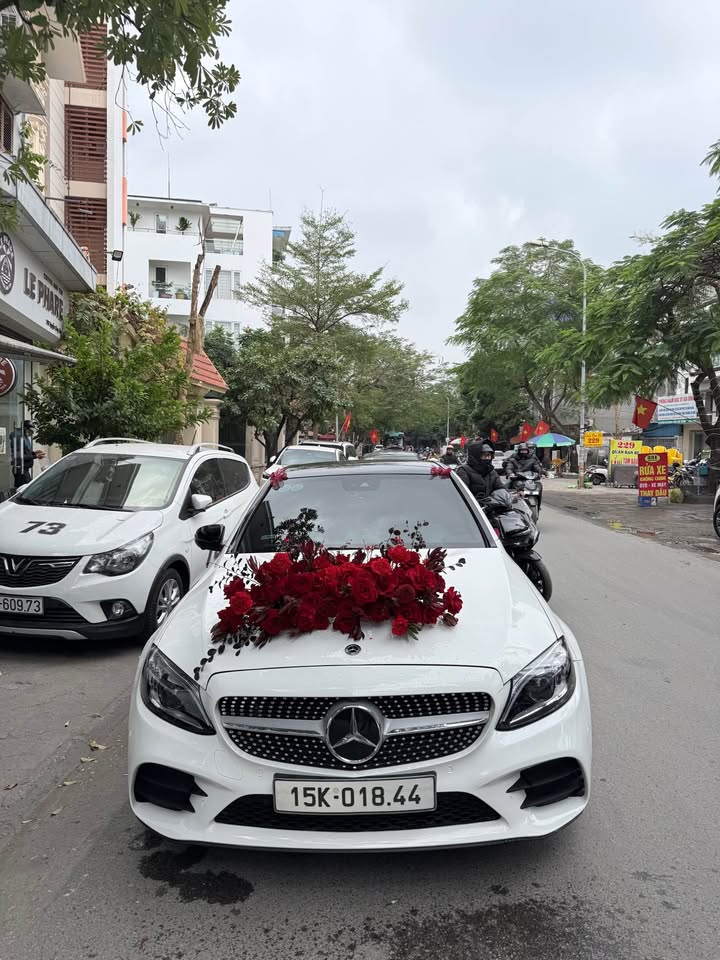 Đất nền Tân Viên, An Lão, 108m² giá chỉ 800 triệu - Ô tô vào tận đất!