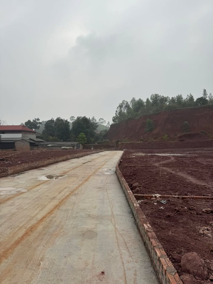 Đất nền Cẩm Khê 145m² giá thỏa thuận - Cơ hội đầu tư hấp dẫn!