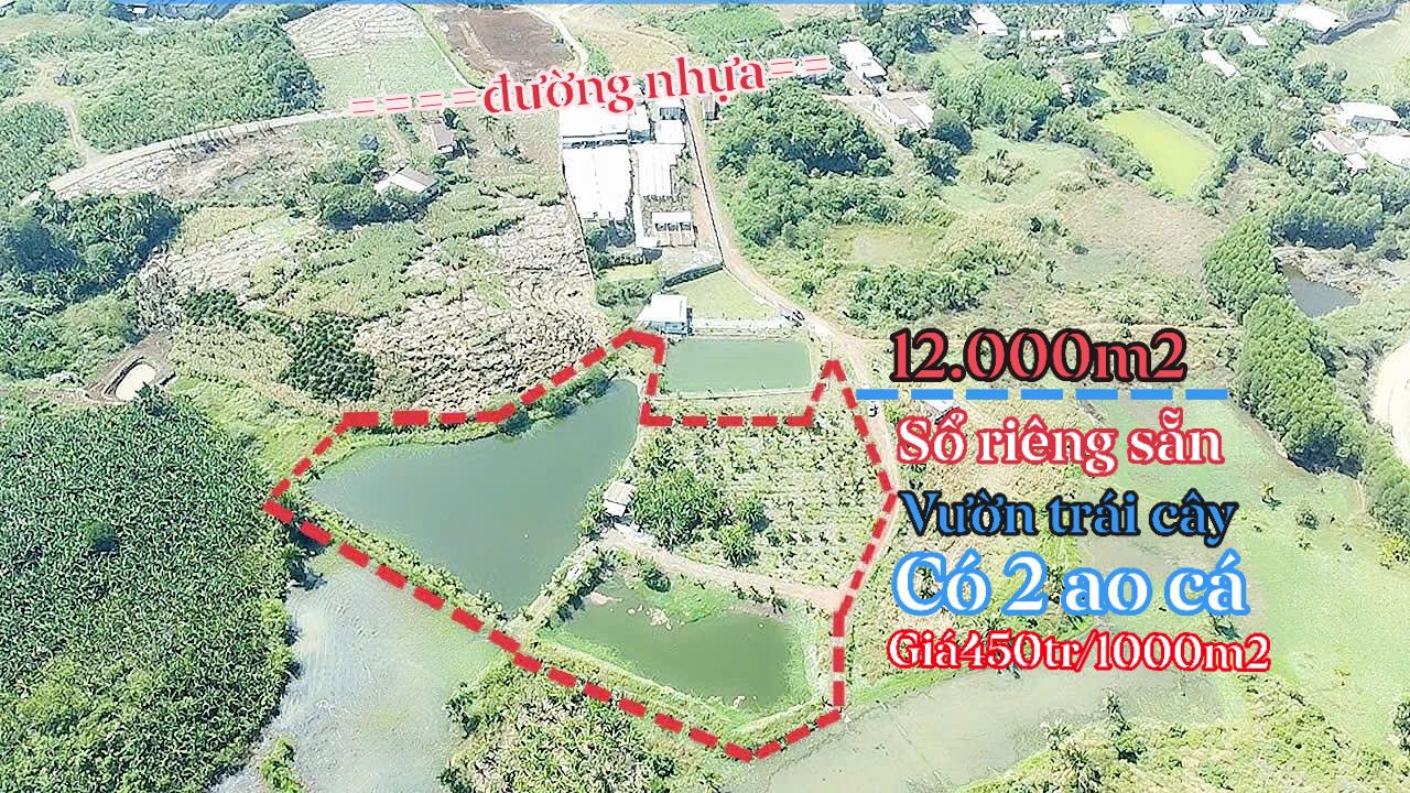 Đất trang trại Vĩnh An 10000m² giá 1.62 tỷ - Sổ hồng riêng, tiện lợi kinh doanh!