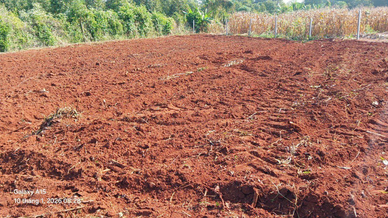 Đất nền 25m² Ấp 8, Xã Sông Ray, Huyện Cẩm Mỹ chỉ 650 triệu - Cơ hội đầu tư hấp dẫn!