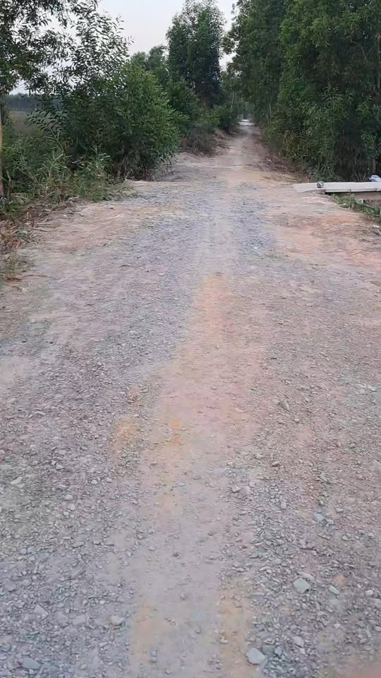 Đất nền 3443m² tại xã Hưng Thạnh, Tân Phước giá 920 triệu - Pháp lý rõ ràng