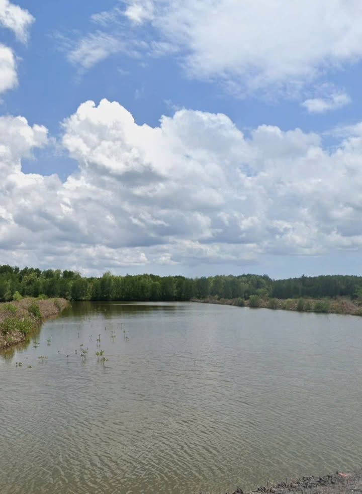 Đất công nghiệp Thị Trấn Năm Căn 32.000m² giá 1,5 tỷ - Đầu tư sinh lời bền vững!